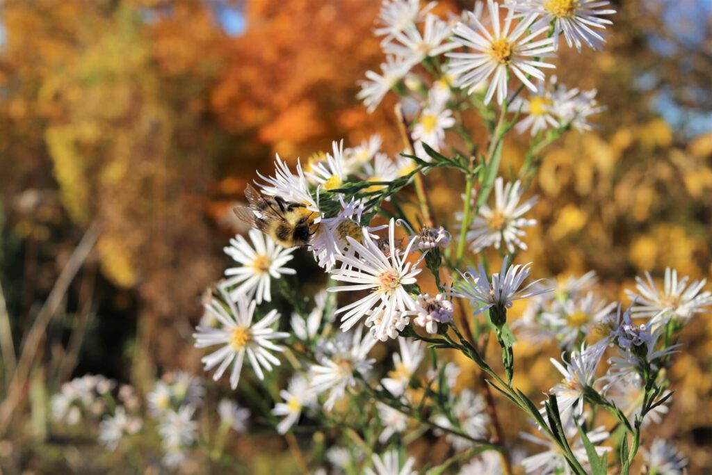 120972081 2841017876180118 7151836011482058559 n